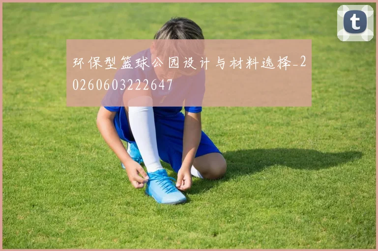 环保型篮球公园设计与材料选择_20260603222647