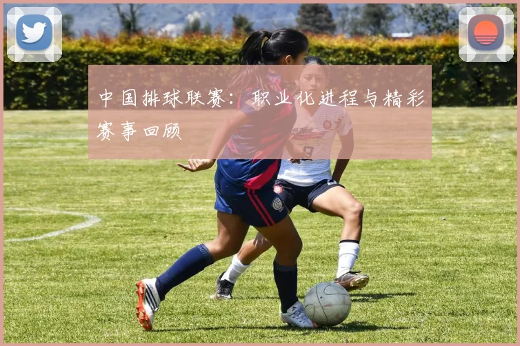 中国排球联赛:职业化进程与精彩赛事回顾